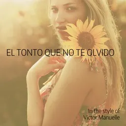 Cover art for El Tonto Que No Te Olvido - Víctor Manuelle karaoke version