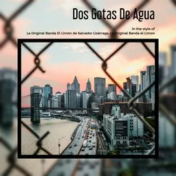 Cover art for Dos Gotas De Agua - La Original Banda el Limon,La Original Banda El Limón de Salvador Lizárraga karaoke version