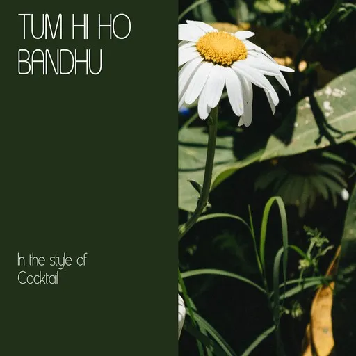 Tum Hi Ho Bandhu - Karaoke
