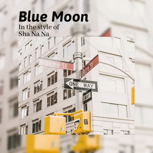 Karaoke Blue Moon by Sha Na Na — sing along with lyrics on Singa