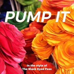 Omslagsbild för Pump It - Black Eyed Peas karaokeversion