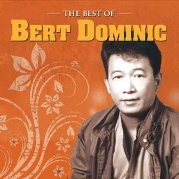 Omslagsbild för Bert Dominic
