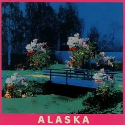 Cover art for Alaska - Humppa-Veikot,Teijo Joutsela karaoke version
