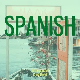 Titelbild für Spanish - Craig David Karaoke-Version