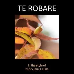 Omslagsbild för Te Robare - Nicky Jam,Ozuna karaokeversion