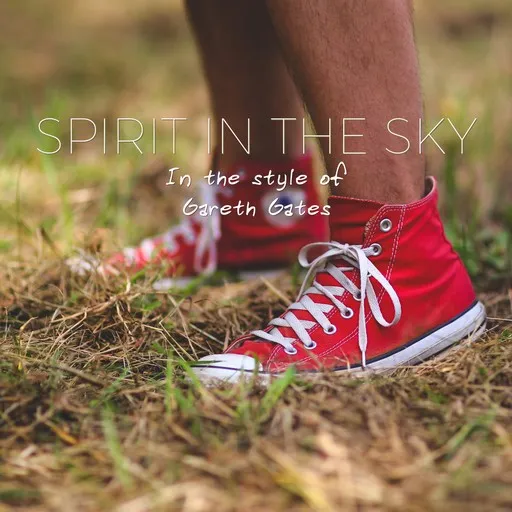 Spirit In the Sky - Karaoke