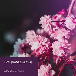 Cover art for 1999 (Dance Remix) - Prince,The Revolution karaoke version