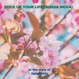 Karaokekappaleen Spice Up Your Life (Bossa Nova) - Spice Girls kansikuva