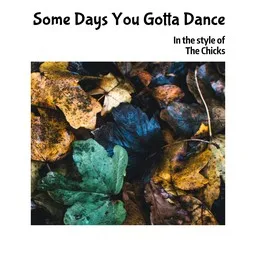 Titelbild für Some Days You Gotta Dance - The Chicks Karaoke-Version