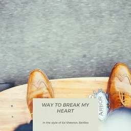 Titelbild für Way To Break My Heart - Ed Sheeran,Skrillex Karaoke-Version