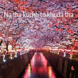 Cover art for Na tha kuchh to khuda tha - Jagjit Singh karaoke version