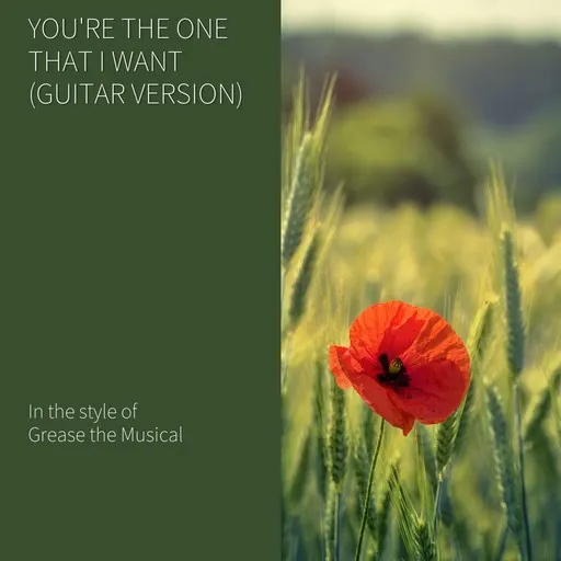 Karaoke You're the One That I Want (Guitar Version) von Grease the Musical — mit Songtext mitsingen auf Singa