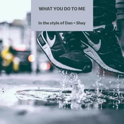 Cover art for What You Do To Me - Dan + Shay karaoke version
