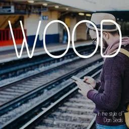Cover art for Wood - Dan Seals karaoke version