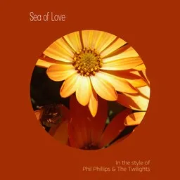 Cover art for Phil Phillips & The Twilights