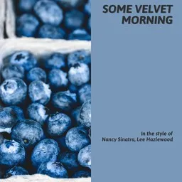 Karaokekappaleen Some Velvet Morning - Lee Hazlewood,Nancy Sinatra kansikuva