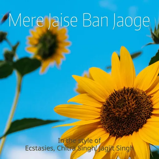 Karaoke Mere Jaise Ban Jaoge esittäjältä Chitra Singh, Ecstasies, Jagjit Singh — laula mukana sanoituksilla Singassa