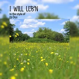 Cover art for I will leb'n - DJ Ötzi karaoke version