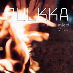 Omslagsbild för Pulkka - Vesala karaokeversion