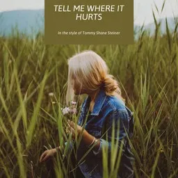 Titelbild für Tell Me Where It Hurts - Tommy Shane Steiner Karaoke-Version