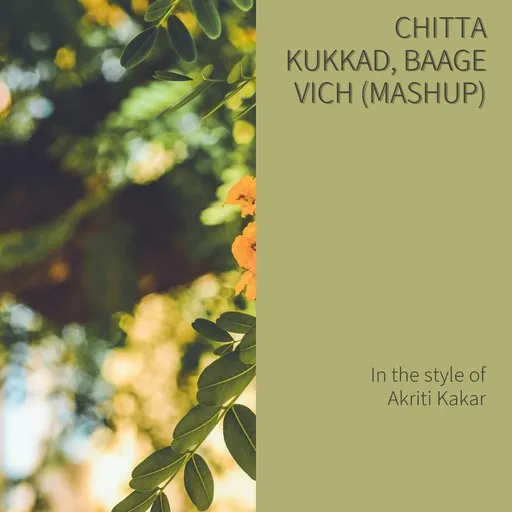 Chitta Kukkad, Baage Vich (Mashup) - Karaoke