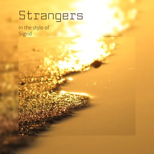 Karaoke Strangers by Sigrid — sing along with lyrics on Singa