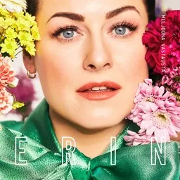 Cover art for VGN - Erin karaoke version
