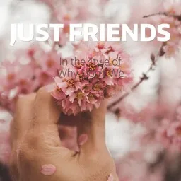 Karaokekappaleen Just Friends - Why Don't We kansikuva