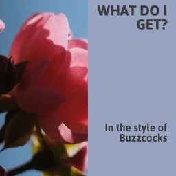 Karaokekappaleen What Do I Get? - Buzzcocks kansikuva