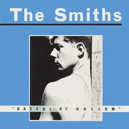Omslagsbild för Please Please Please Let Me Get What I Want - The Smiths karaokeversion
