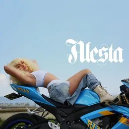 Omslagsbild för Ecoute - Alexandra Stan,Havana karaokeversion