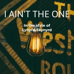 Titelbild für I Ain't the One - Lynyrd Skynyrd Karaoke-Version
