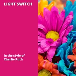 Cover art for Light Switch - Charlie Puth karaoke version