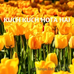 Cover art for Kuch Kuch Hota Hai - Kuch Kuch Hota Hai,Udit Narayan karaoke version