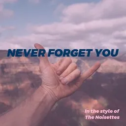 Cover art for Never Forget You - The Noisettes karaoke version