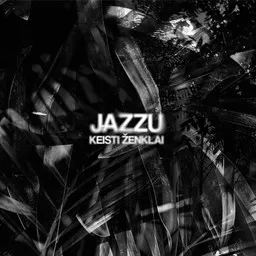 Omslagsbild för Kometa - Jazzu karaokeversion