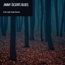 Cover art for Jimmy Olsen's Blues - Spin Doctors karaoke version