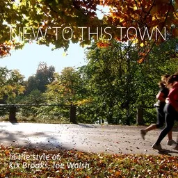 Cover art for New To This Town - Joe Walsh,Kix Brooks karaoke version