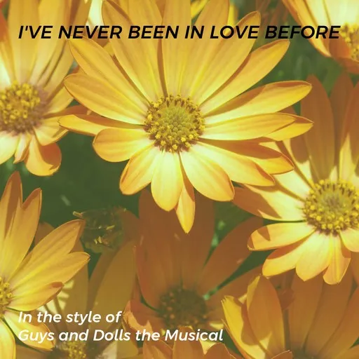 Karaoke I've Never Been In Love Before von Guys and Dolls the Musical — mit Songtext mitsingen auf Singa