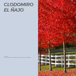 Omslagsbild för Clodomiro El Ñajo - Carlos Mejía Godoy & Los de Palacagüina,Carlos Mejía Godoy y los de Palacagüina karaokeversion