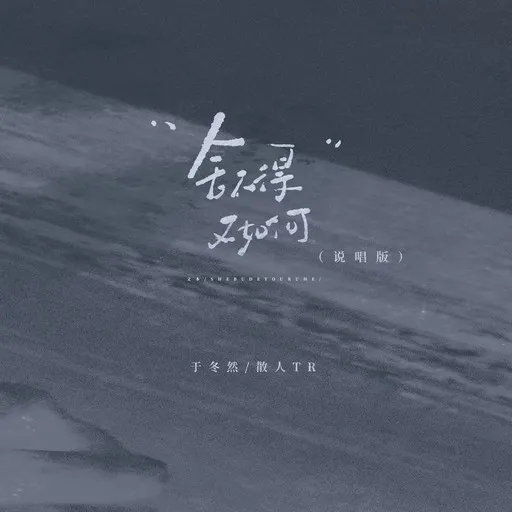 Karaoke 舍不得又如何 by 于冬然, 散人TR — sing along with lyrics on Singa