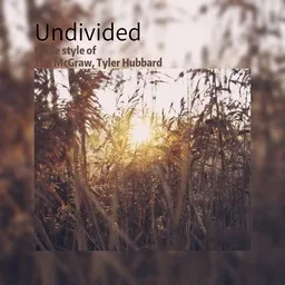 Cover art for Undivided - Tim McGraw,Tyler Hubbard karaoke version