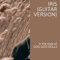 Cover art for Iris (Guitar Version) - Goo Goo Dolls karaoke version