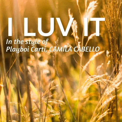 Karaoke I LUV IT by CAMILA CABELLO, Playboi Carti — sing along with lyrics on Singa