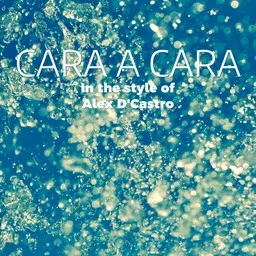 Cover art for Cara A Cara - Alex D'Castro karaoke version