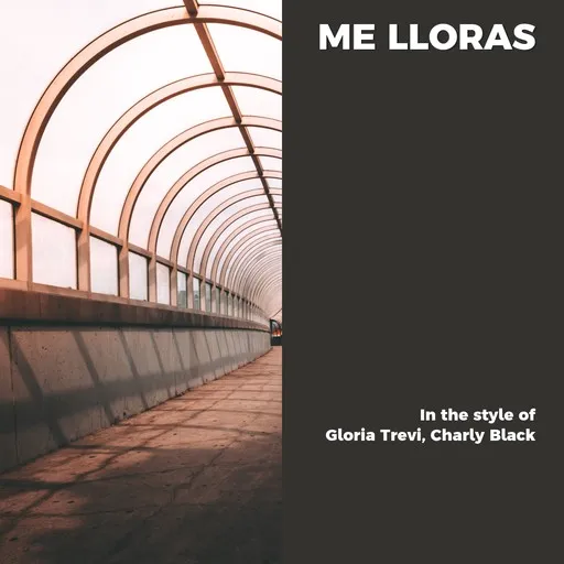 Karaoke Me Lloras esittäjältä Charly Black, Gloria Trevi — laula mukana sanoituksilla Singassa
