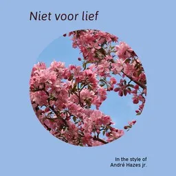 Cover art for Niet voor lief - André Hazes jr. karaoke version