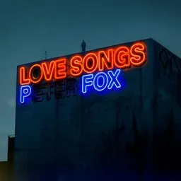 Cover art for Zukunft Pink - Inéz,Peter Fox karaoke version