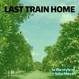 Cover art for Last Train Home - John Mayer karaoke version