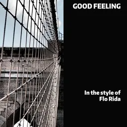 Karaokekappaleen Good Feeling - Flo Rida kansikuva